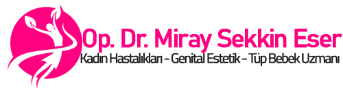 Kadın Sağlığı Hekimi